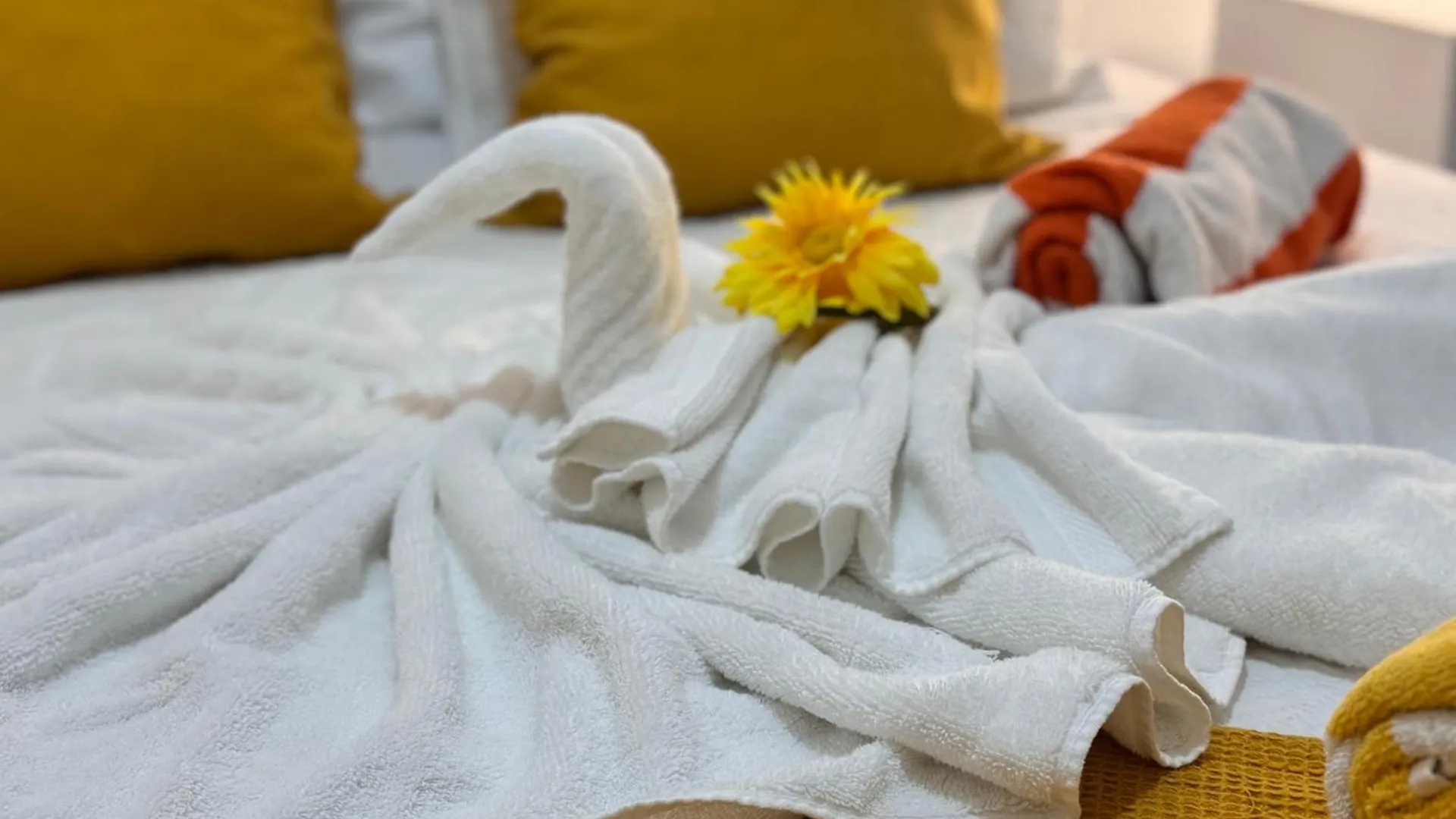 My Dominicus Beach Retreat
